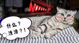 探寻燕云十六声秘境:猫猫花旋风隐藏地点全揭秘,解锁游戏新乐趣所在 探寻燕云十六声秘境:猫猫花旋风隐藏地点全揭秘,解锁游戏新乐趣所在