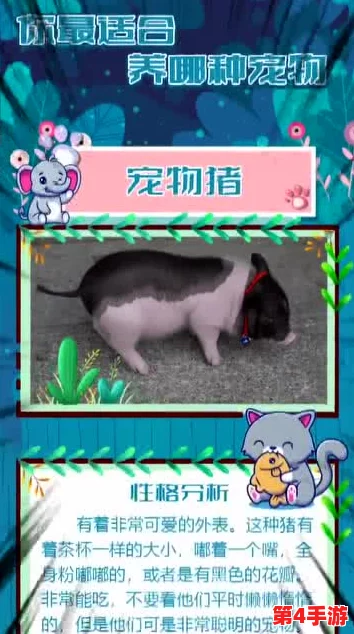 人or猪or狗?快来测测你是哪种动物的灵魂伴侣!趣味性格大揭秘 人or猪or狗?快来测测你是哪种动物的灵魂伴侣!趣味性格大揭秘