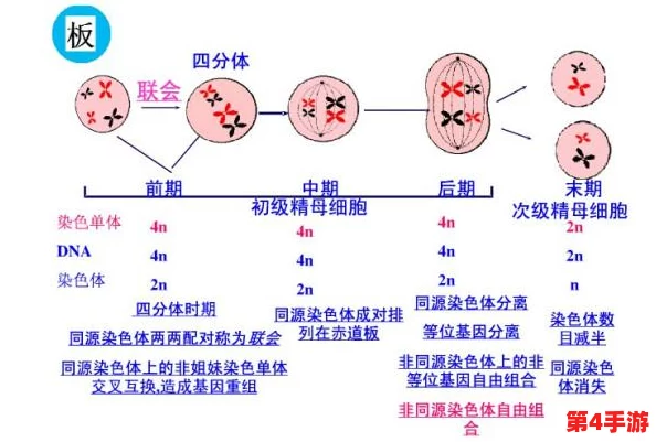 三叶草私人研究所的研究成果：揭示生物技术在可持续发展中的潜力与应用前景