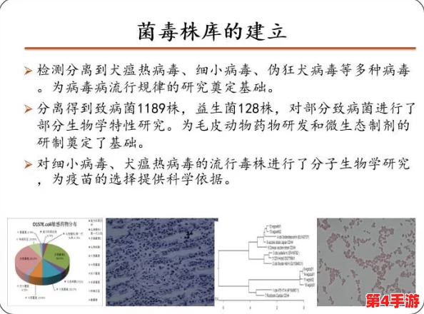 AAAA级毛皮和普通版对比:深入分析两者在质量、价格及使用体验上的显著差异与优劣势 AAAA级毛皮和普通版对比:深入分析两者在质量、价格及使用体验上的显著差异与优劣势