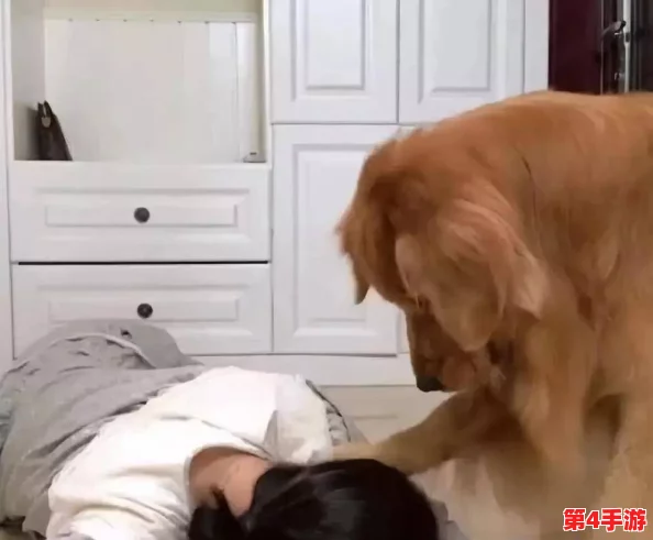 男生把困困放到女生困困,这个行为反映了两性之间的互动与情感交流,值得我们深入思考和讨论 男生把困困放到女生困困,这个行为反映了两性之间的互动与情感交流,值得我们深入思考和讨论