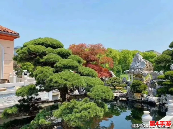 麻花传沈娜娜:用户评价揭示其独特魅力与深刻内涵,值得一看! 麻花传沈娜娜:用户评价揭示其独特魅力与深刻内涵,值得一看!