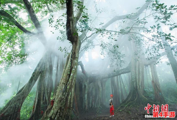 色五月五月婷婷，感受大自然的美丽与生命的魅力，让我们一起享受这个充满期待的季节！