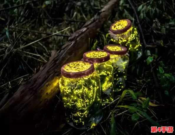 流萤自我奖励被发现，不经意间的惊喜与感动共存