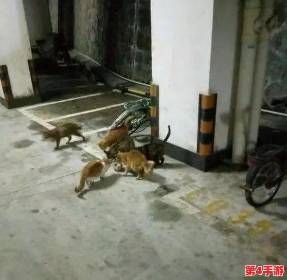 设计自己初次给七个流浪车库增添一抹亮色 设计自己初次给七个流浪车库增添一抹亮色