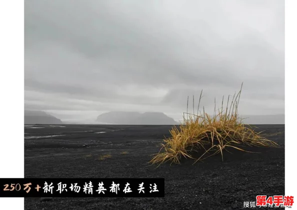 黑土怀孕模拟器:感受生命奇迹与自然的和谐之旅,体验每一个动人的瞬间与新生的期待 黑土怀孕模拟器:感受生命奇迹与自然的和谐之旅,体验每一个动人的瞬间与新生的期待