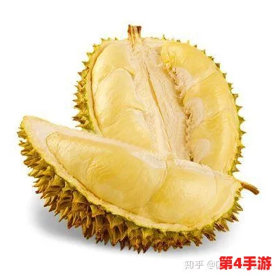 榴莲视频网站：深入理解其内容与用户体验的多样性与独特魅力