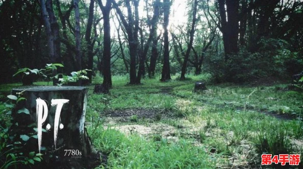 《寂静岭2重制版》深度探索与战斗策略:掌握关键技巧,解锁恐怖之旅新体验 《寂静岭2重制版》深度探索与战斗策略:掌握关键技巧,解锁恐怖之旅新体验