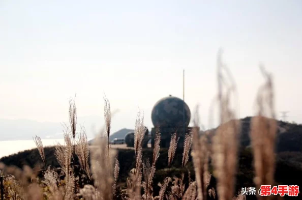 黑神话悟空：详尽解析雷火印获取途径，助你轻松获得强力印记