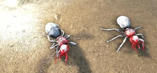 方舟生存进化手游生物百科全书:探秘史前霸主——剑齿虎的生存智慧与战斗技巧 方舟生存进化手游生物百科全书:探秘史前霸主——剑齿虎的生存智慧与战斗技巧