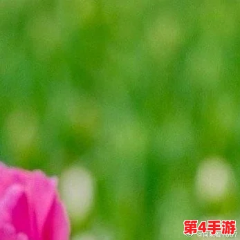 老牛嫩草AⅤ一区二区三区，传递积极向上的生活态度，让每个人都能找到属于自己的幸福与快乐