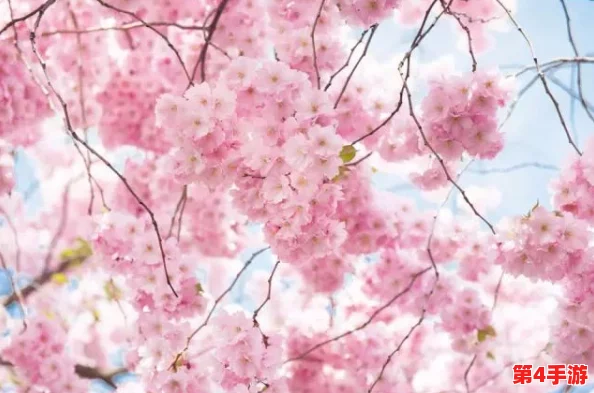 樱花动漫官网看:最新动画《春日恋曲》正式上线,带你领略浪漫青春的故事魅力! 樱花动漫官网看:最新动画《春日恋曲》正式上线,带你领略浪漫青春的故事魅力!