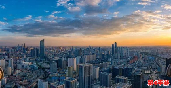 沈阳老阿姨叫的巅峰澎湃：2024年世界杯热潮下的街头文化与美食盛宴