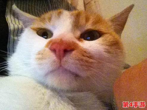 柚子猫糖心lvog:用户评价称其口感独特,甜而不腻,深受大家喜爱! 柚子猫糖心lvog:用户评价称其口感独特,甜而不腻,深受大家喜爱!