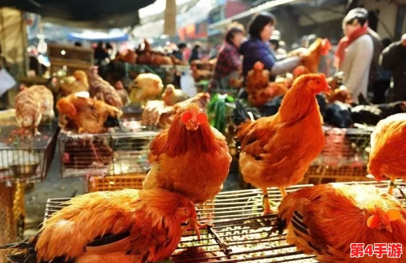 欧美人与性禽动交情品：用户评价揭示了这一现象的多样性与复杂性，值得深入思考和讨论