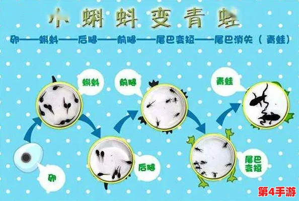 蝌蚪窝一个释放蝌蚪的网站，春风化雨，助力生命的奇妙旅程