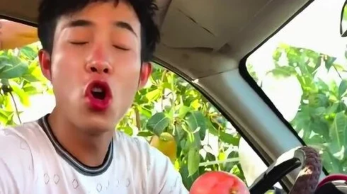 fruit回家永不迷路，网友：这真是个好主意，让我再也不用担心找不到回家的路了！
