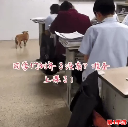 打扑克剧烈摇床不盖被子图片,理解游戏中的乐趣与放松的结合,展现生活的轻松一面 打扑克剧烈摇床不盖被子图片,理解游戏中的乐趣与放松的结合,展现生活的轻松一面
