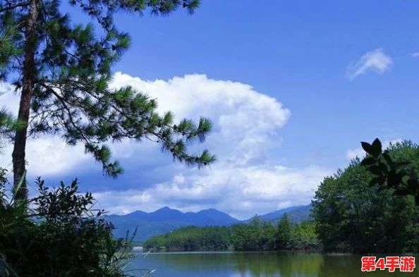 淑荣一次上船开到湖中间去，体验湖光山色的绝美之旅，感受自然的魅力与宁静