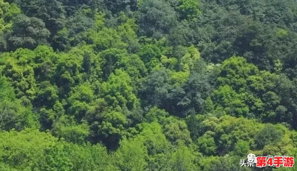 原始传奇：揭秘镶嵌宝石的终极效用，如何强化装备战力与炫酷外观！