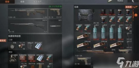 暗区突围：仓库爆满应对策略，高效整理与扩容指南全解析