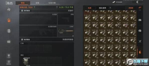 暗区突围：仓库爆满应对策略，高效整理与扩容指南全解析