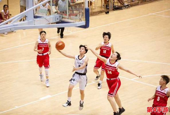 女篮比赛盛轮轩小说:激烈对抗与青春梦想交织,赛场上演精彩瞬间与感人故事 女篮比赛盛轮轩小说:激烈对抗与青春梦想交织,赛场上演精彩瞬间与感人故事
