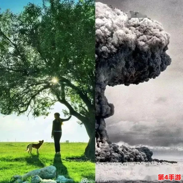 每日大赛反差大赛网，风云变幻如翻书