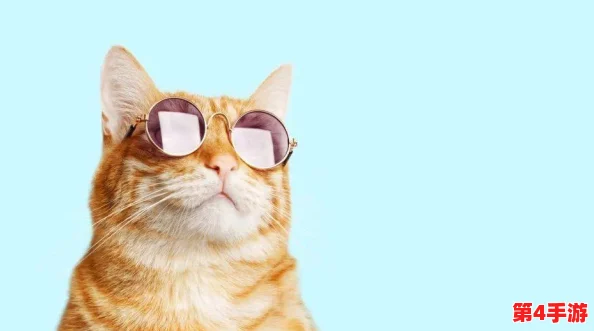 猫咪网最新地域网名是什么样的啊?带你了解各地独特风格与创意命名背后的故事! 猫咪网最新地域网名是什么样的啊?带你了解各地独特风格与创意命名背后的故事!