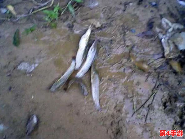星露谷物语中寻觅鲶鱼踪迹：最佳垂钓地点与技巧指南