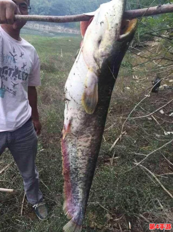 星露谷物语中寻觅鲶鱼踪迹:最佳垂钓地点与技巧指南 星露谷物语中寻觅鲶鱼踪迹:最佳垂钓地点与技巧指南