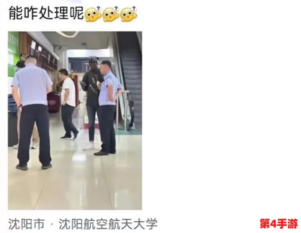 大BBwBBw撒尿BBw撒尿引发热议，网友纷纷讨论其背后的文化现象与社会影响