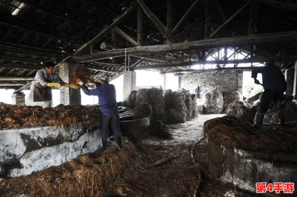 西方137大但人文艺术a管予评:深度解析其对当代文化的影响与启示 西方137大但人文艺术a管予评:深度解析其对当代文化的影响与启示