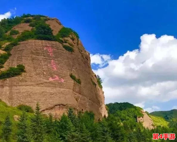 绿意盎然海角原创：在自然与艺术交融的地方，感受生命的无限可能与美好瞬间