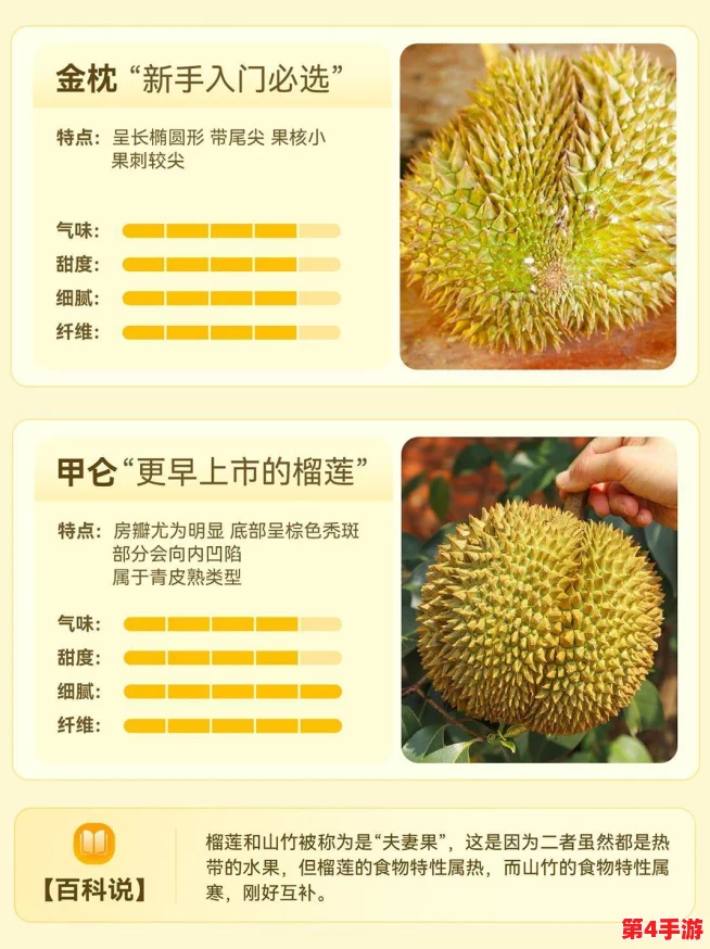 榴莲推广app网站入口，百花齐放争奇斗艳，尽显水果之王的魅力与风采