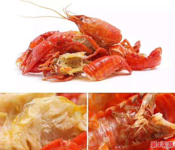怎么给自己扣:网友热议各种创意与技巧,分享增添乐趣的独特方式! 怎么给自己扣:网友热议各种创意与技巧,分享增添乐趣的独特方式!