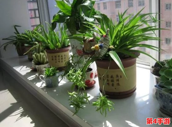 薰衣草研究所发布最新研究成果，揭示薰衣草对心理健康的积极影响与应用前景