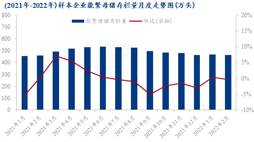 国产XXXXXL18–20：深入理解其市场定位与消费者需求的变化趋势分析