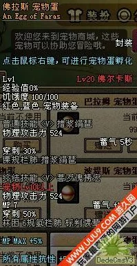 DNF玩家必知：佛拉斯系列宠物深度对比，哪一款最适合你的战斗风格？