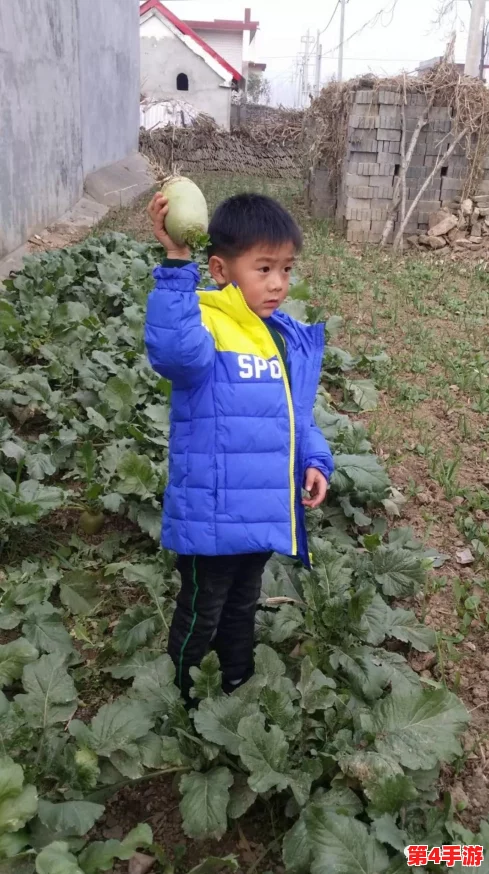 女生迈开腿拔萝卜,展现农村生活乐趣与青春活力,引发网友热议与共鸣 女生迈开腿拔萝卜,展现农村生活乐趣与青春活力,引发网友热议与共鸣