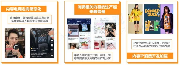91插插库:新一代成人内容平台上线,提供多样化选择与安全保障引发热议 91插插库:新一代成人内容平台上线,提供多样化选择与安全保障引发热议