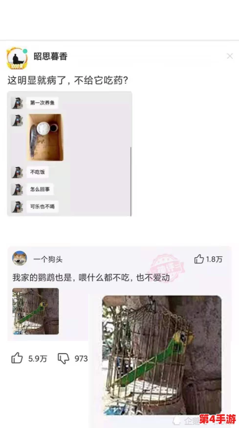 小女孩吃小男孩小叮当视频，网友纷纷表示：“这是什么奇葩的创意？真是让人哭笑不得！”
