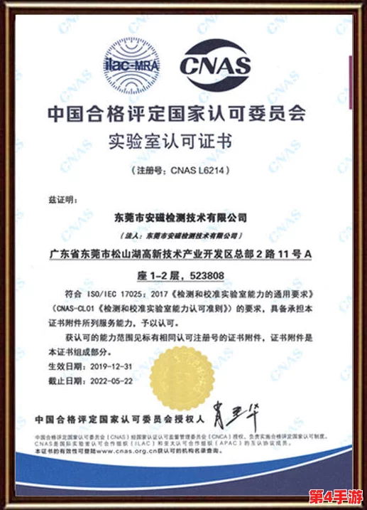 中国XXXXXL196是正规的吗？这款产品值得购买吗？