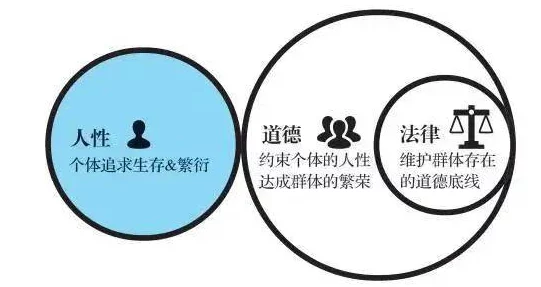 白洁东子高义：在当代社会中，如何理解和看待个人道德与社会责任之间的关系？