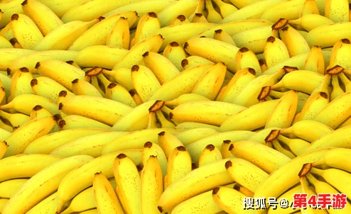 大伊香蕉:口感独特,甜而不腻,成为水果爱好者心目中的首选美味! 大伊香蕉:口感独特,甜而不腻,成为水果爱好者心目中的首选美味!