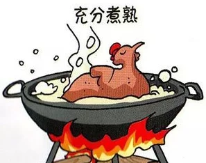 女人与zoZ0禽伦：用户评价揭示了这一现象背后的复杂心理和社会影响，值得深思
