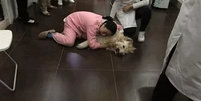 网调小狗的方法:如何通过科学的训练技巧和有效的沟通方式来改善小狗的行为习惯与社交能力 网调小狗的方法:如何通过科学的训练技巧和有效的沟通方式来改善小狗的行为习惯与社交能力