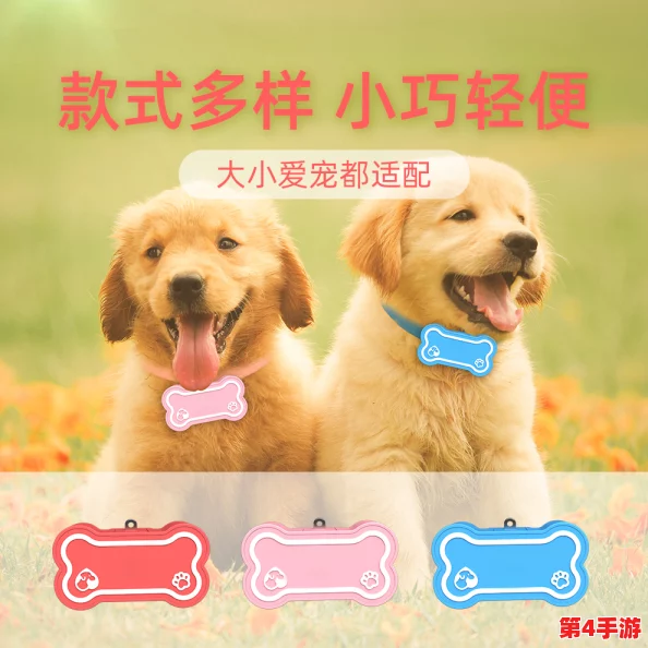 色狗导航:为您提供精准的宠物养护信息与服务,助力爱犬健康快乐成长! 色狗导航:为您提供精准的宠物养护信息与服务,助力爱犬健康快乐成长!