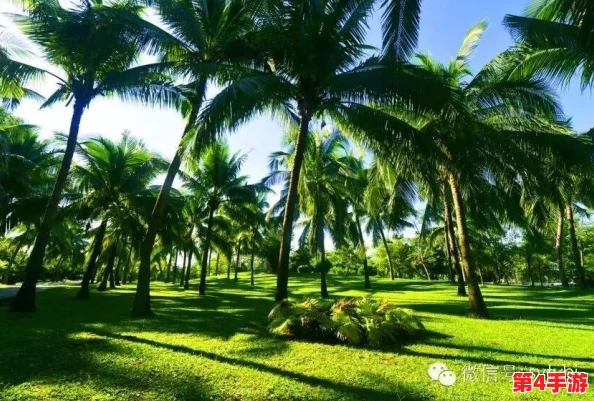 海角31.0绿意盎然：感受自然之美，畅享生态旅游新体验，尽情领略绿色生活的魅力与活力