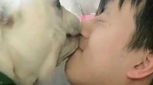女人与公猪交交30分钟无遮挡，用户评价：内容刺激，情节引人入胜，让人欲罢不能！